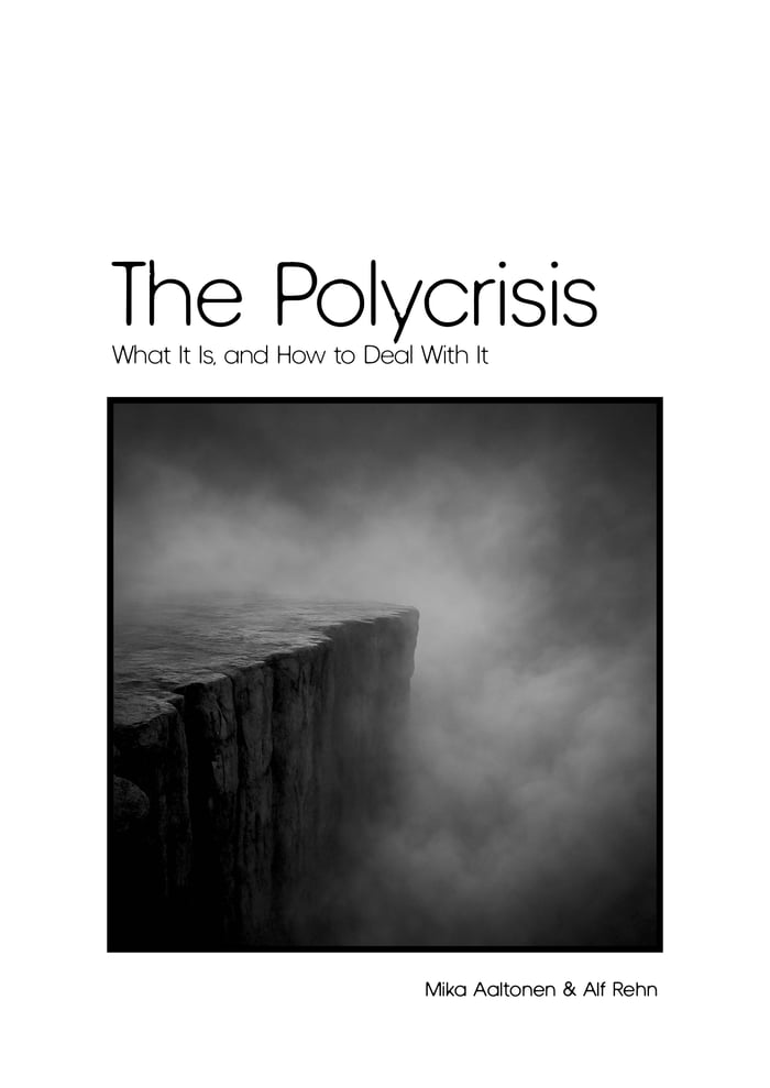 The Polycrisis: What It Is, and How to Deal With It image
